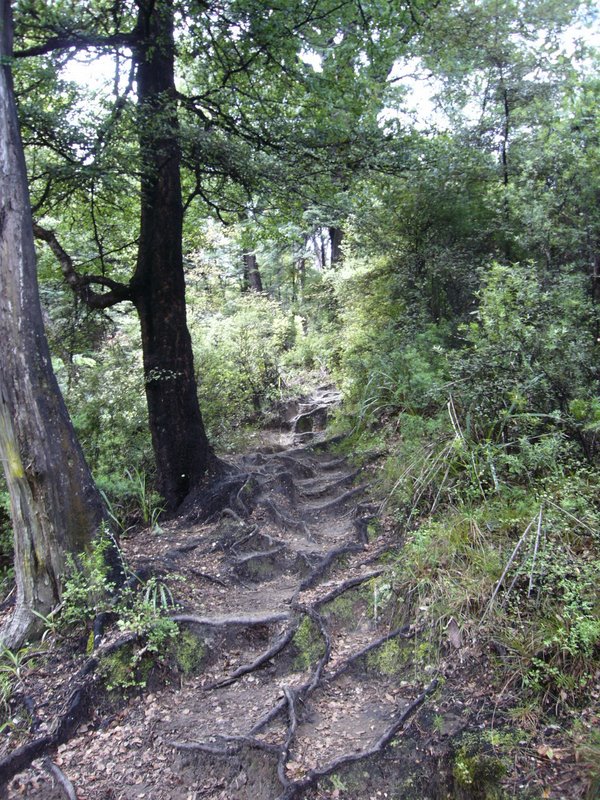 Magic faraway tree track :)